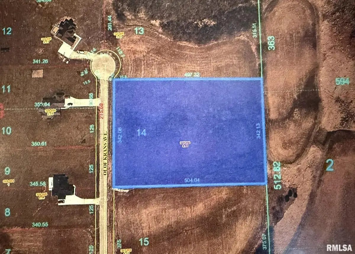 2659 Olof Krans Avenue, Galva, IL 61434 - Image #1