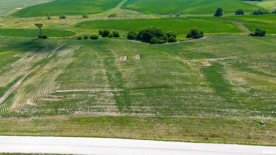 2549 Olof Krans Avenue, Galva, IL 61434 - Image #2