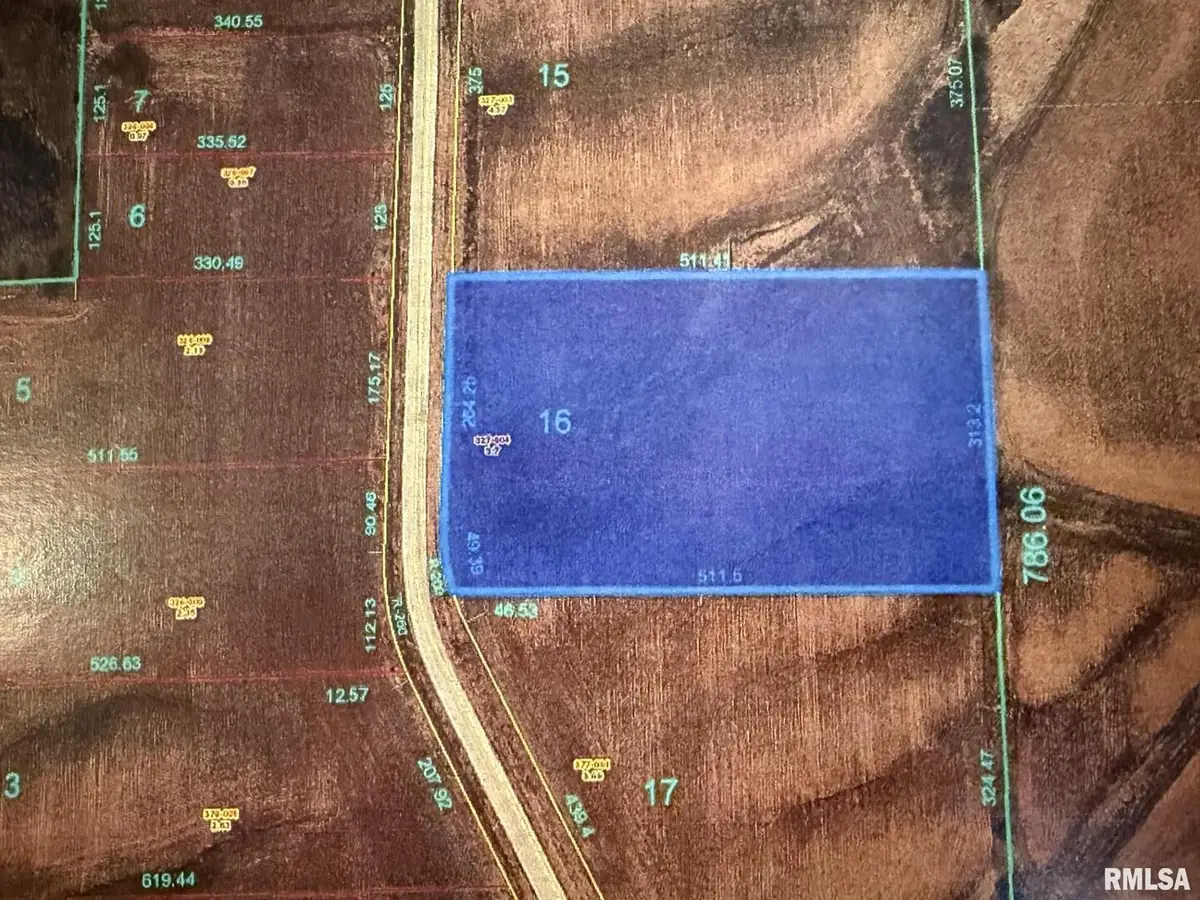 2439 Olof Krans Avenue, Galva, IL 61434 - Image #1