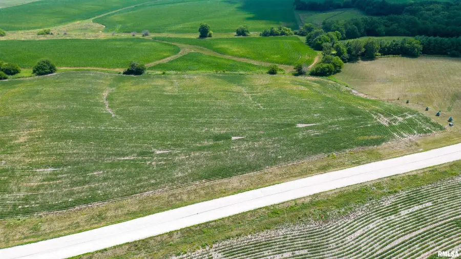 2321 Olof Krans Avenue, Galva, IL 61434 - Image #2