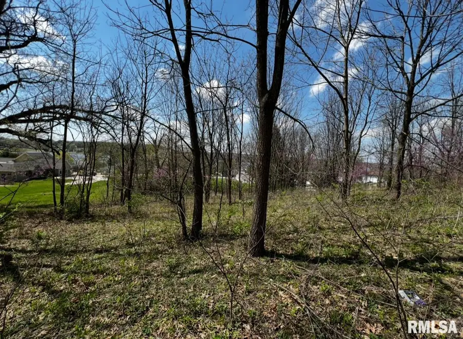 LOT 201 James Street, Hampton Township, IL 61256 - Image #2