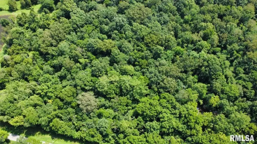 000 Cedar Hill Road, West Frankfort, IL 62896 - Image #2