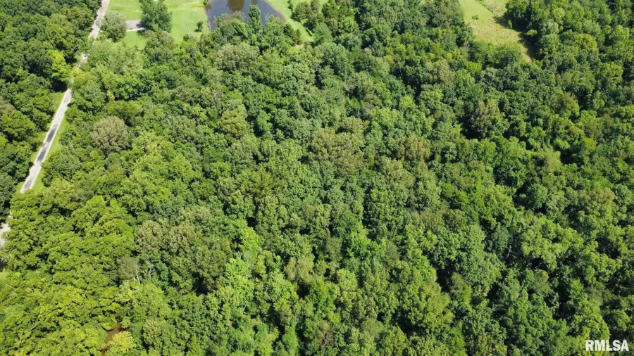 000 Cedar Hill Road, West Frankfort, IL 62896 - Image #3