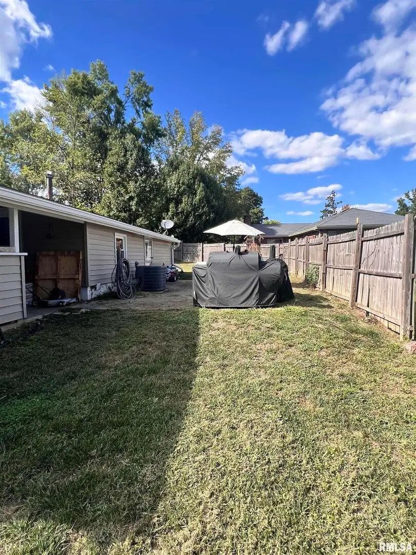 203 Plum Street, Anna, IL 62906 - #3