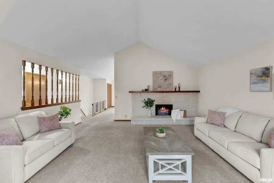 209 Lake View Court, Colona, IL 61241 - Image #3