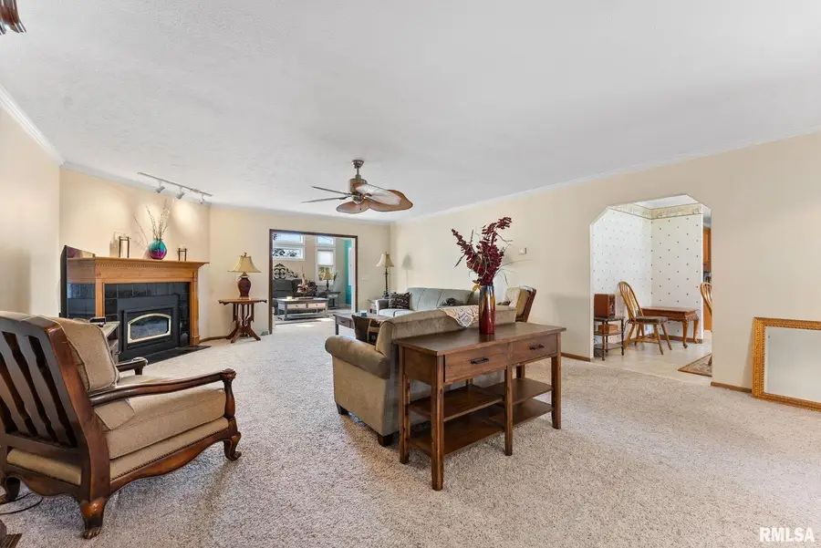 225 Carroll Street, Colona, IL 61241 - Image #3