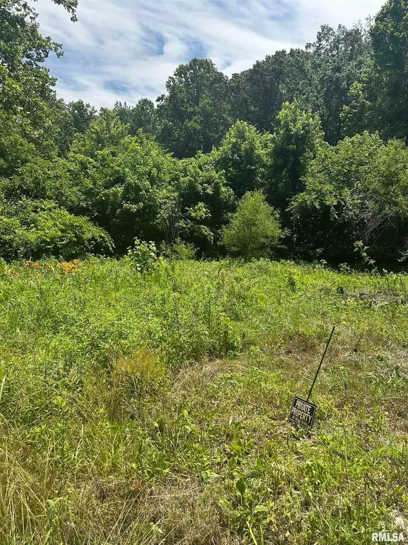 585 Berryville Road, Jonesboro, IL 62952 - #3