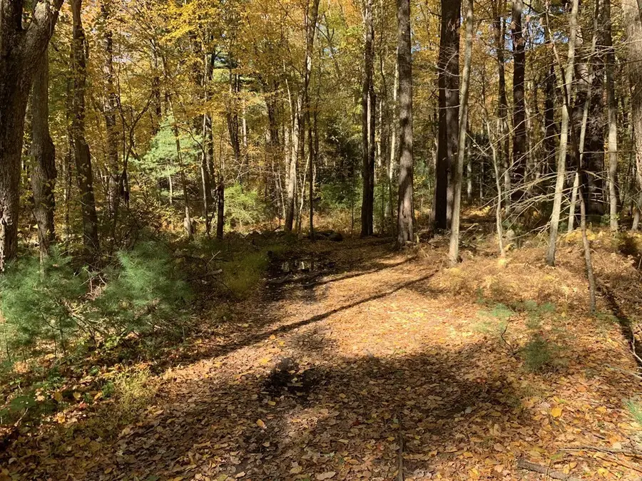 90 Maple St, Sherborn, MA 01770 - #2