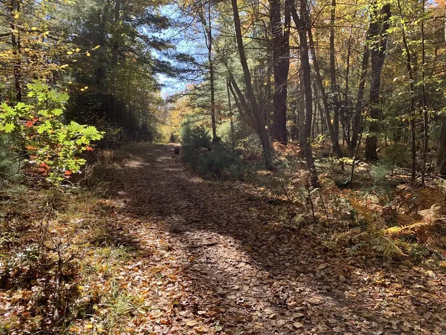 90 Maple St, Sherborn, MA 01770 - #3