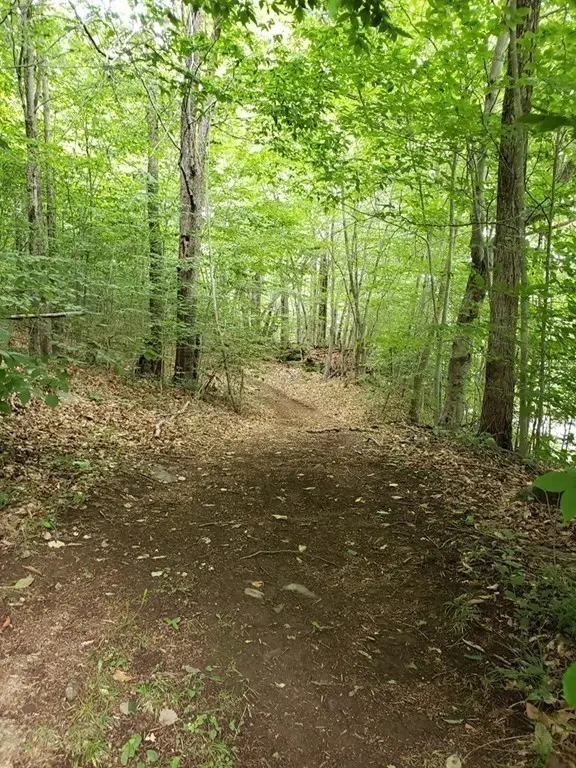 0 East River Rd Lot 13 Map 409, Chester Town, MA 01050 - Image #2