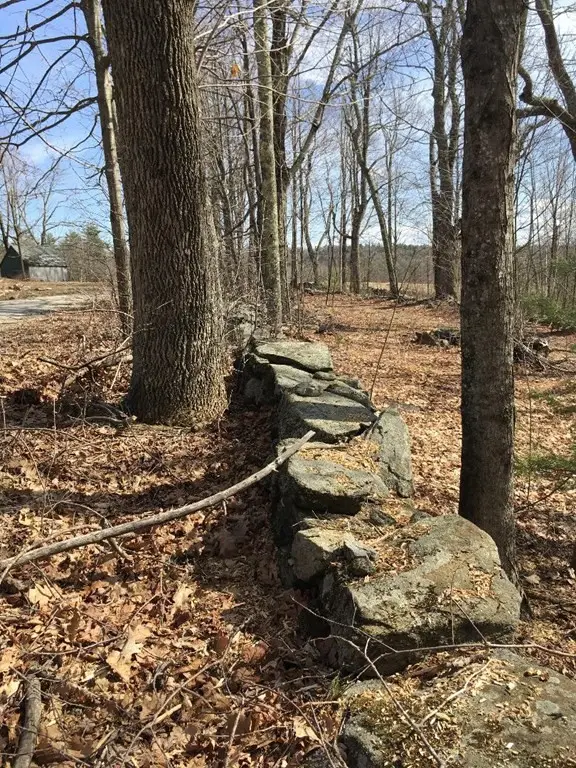 0 Dresser Hill Rd., Goshen, MA 01032 - Image #2