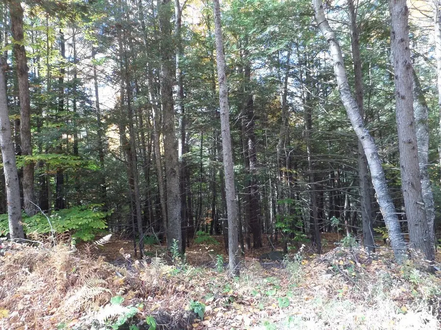 0 Thayer Hill Rd, Worthington, MA 01098 - Image #3