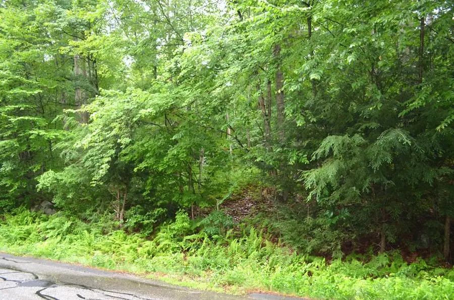 Lot 8 Monson Turnpike Rd, Ware, MA 01082 - Image #3