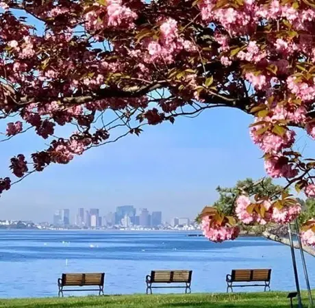 299 Nahant Road #2, Nahant, MA 01908 - Image #1