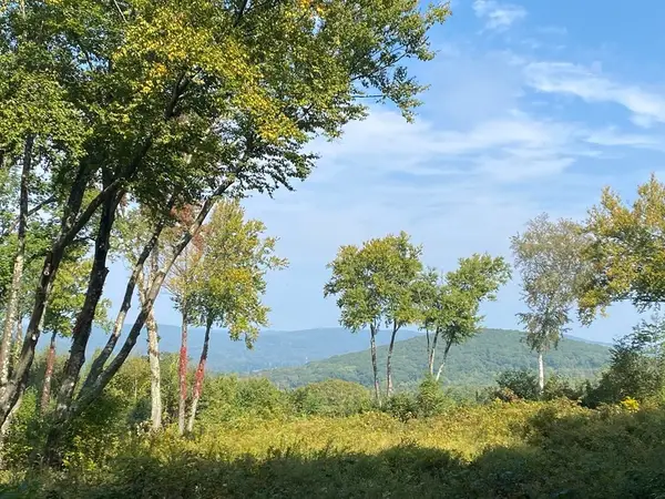 0 South Rd Lot5a, Hampden, MA 01036