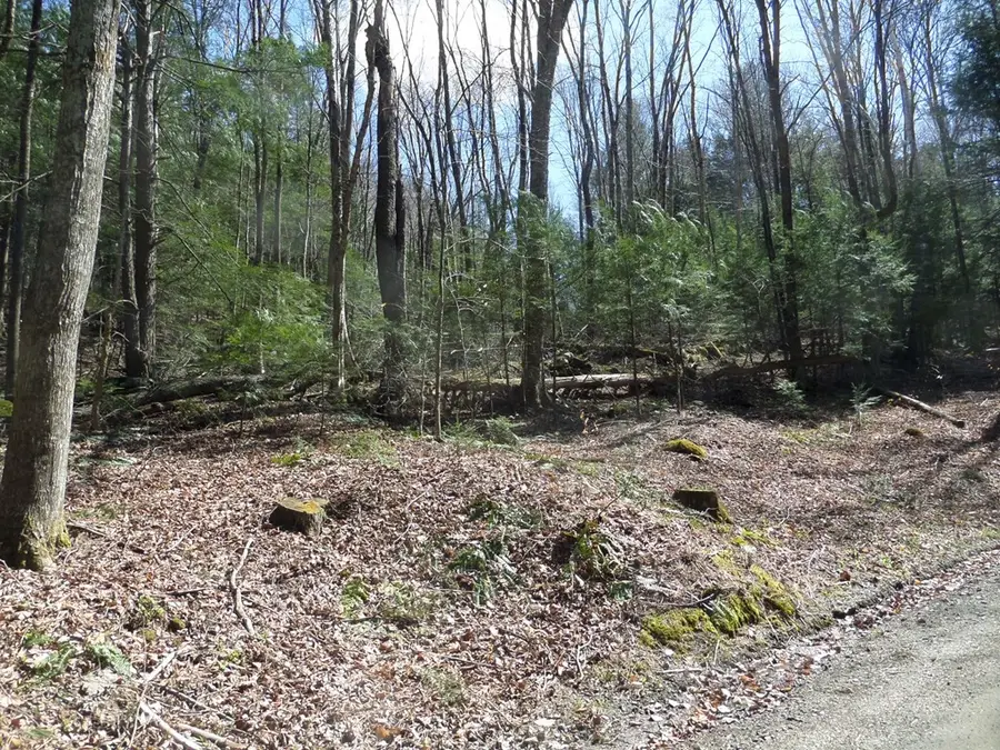 LOT 1 Thayer Hill Road, Worthington, MA 01098 - Image #2