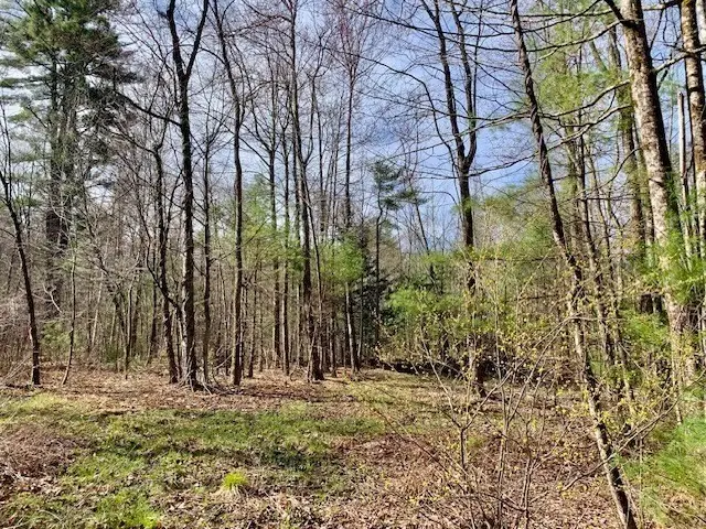 86 W Elm, Lunenburg Rd, Blood Rd, Townsend, MA 01469 - Image #1