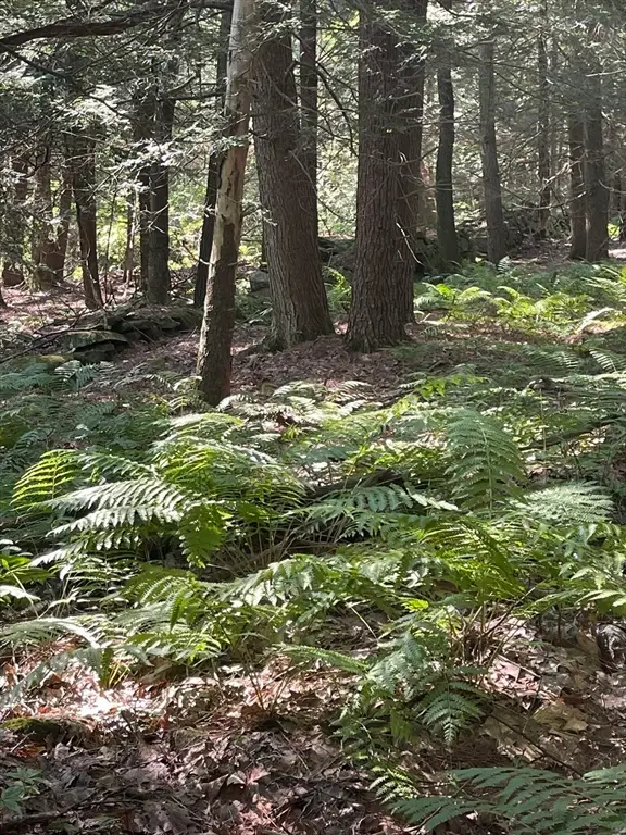 0 Dudleyville Rd, Leverett, MA 01054 - Image #3