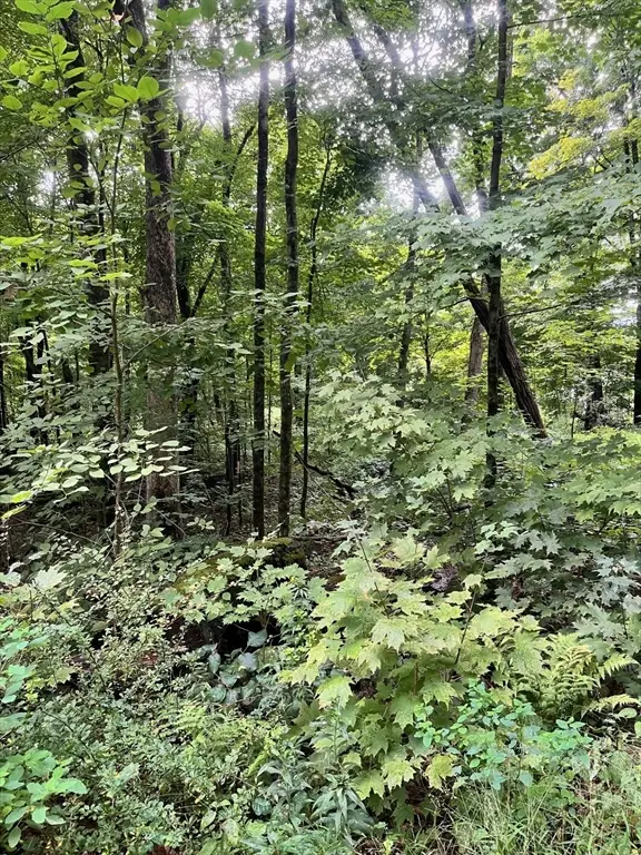 Lot 17.04 & 17.05 Sabin Street, Belchertown, MA 01007 - Image #2