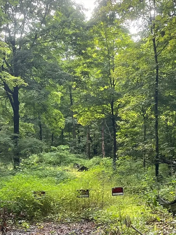 Lot 17.04 & 17.05 Sabin Street, Belchertown, MA 01007 - Image #3