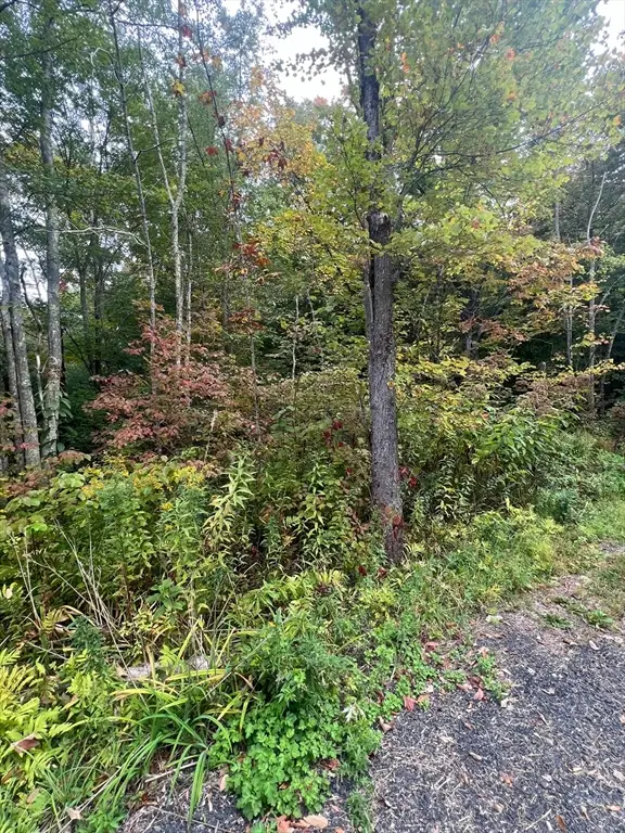 0 Allen Rd, Belchertown, MA 01007 - Image #2