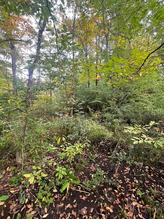 0 Allen Rd, Belchertown, MA 01007 - Image #3