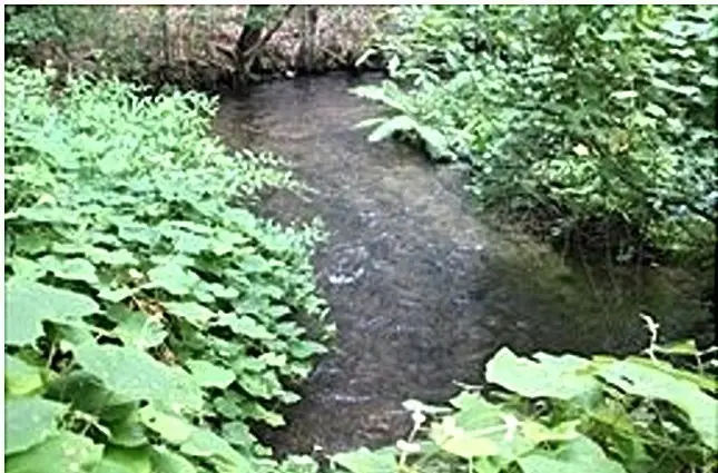 0 Wareham Road, Plymouth, MA 02360 - Image #1