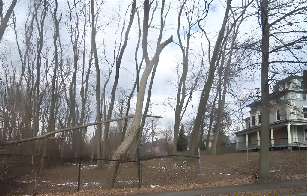 LOT 3 N S Worthington St, Springfield, MA 01109 - #1