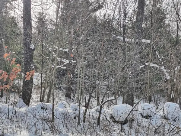 lot 3 Skyline, Chester, MA 01011