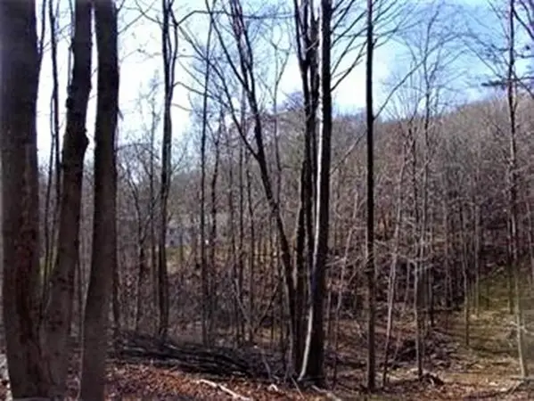 474 Mountain Road, Wilbraham, MA 01095 - Image #2