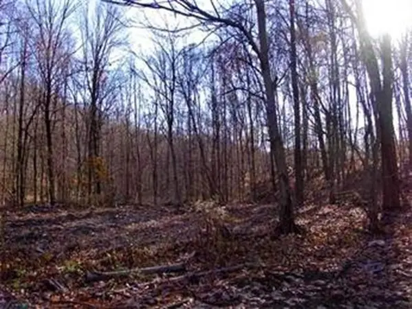 474 Mountain Road, Wilbraham, MA 01095 - Image #3