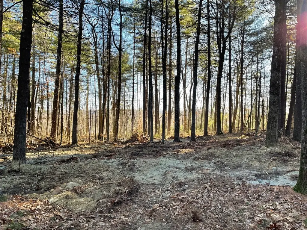 Lot 38B Michael Sears, Belchertown, MA 01007 - Image #1