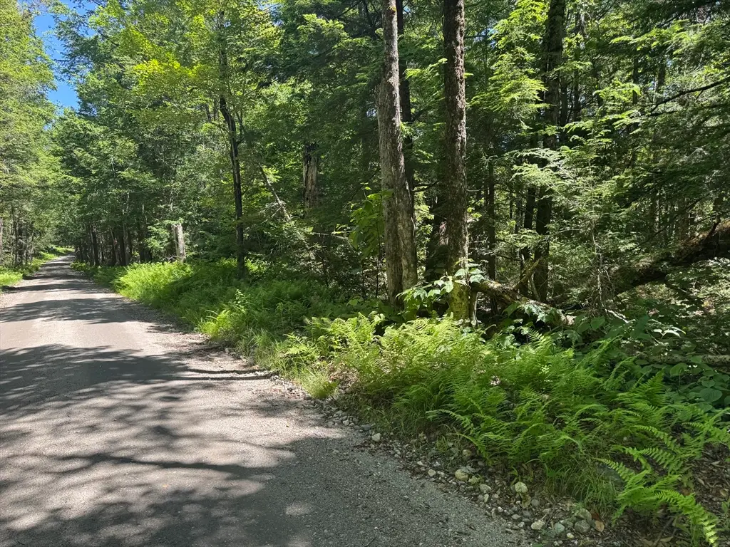 0 Old Stage Rd, Ashfield, MA 01330 - Image #1