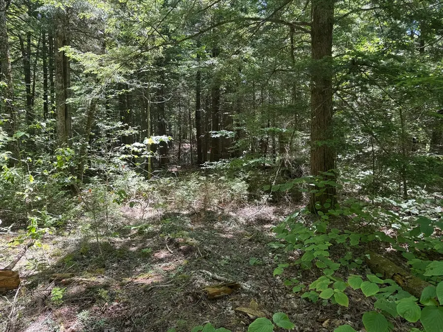 0 Old Stage Rd, Ashfield, MA 01330 - Image #2
