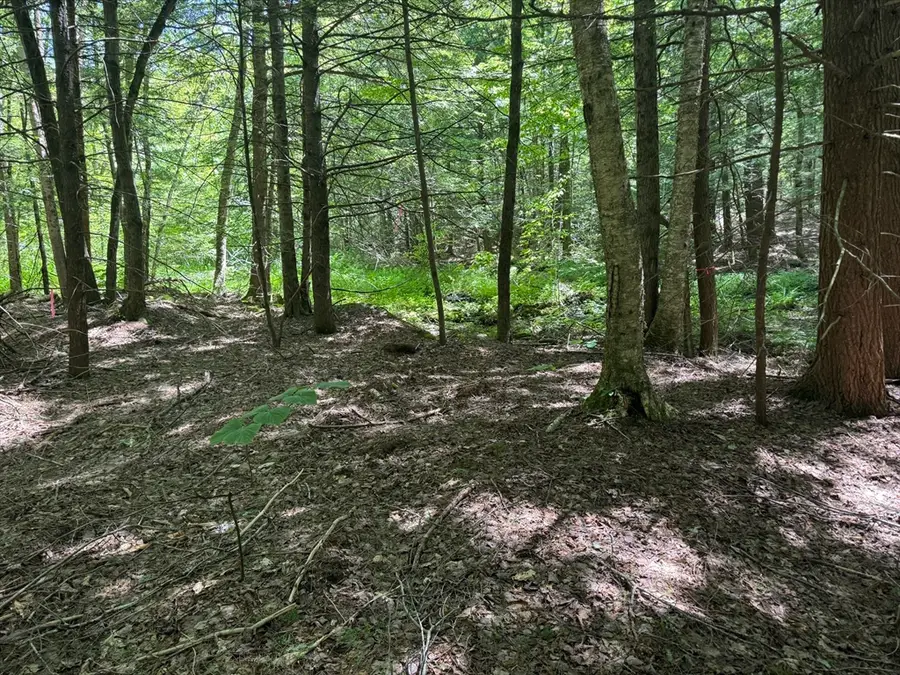 0 Old Stage Rd, Ashfield, MA 01330 - Image #3