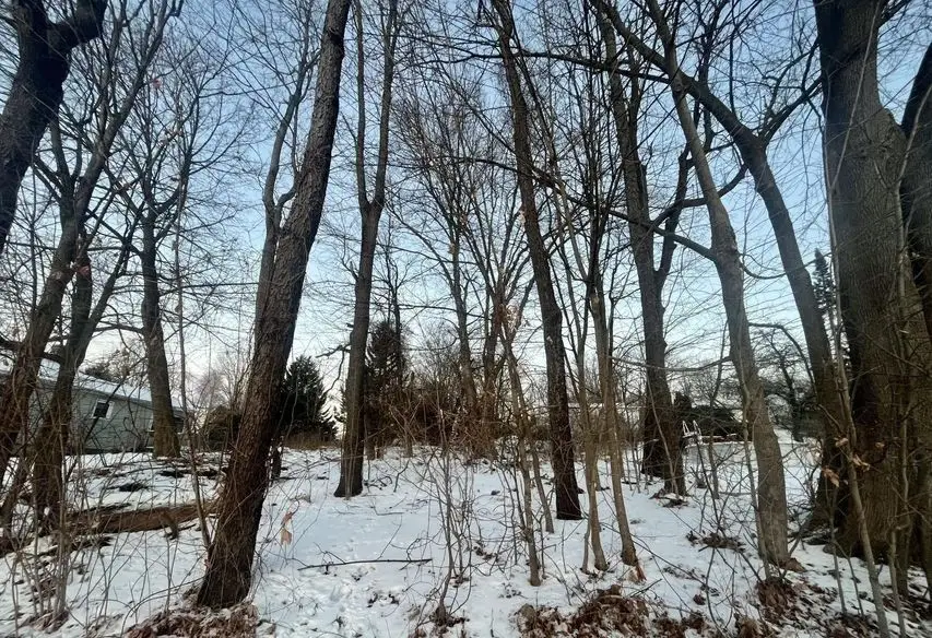 0 Ocean St, Lanesborough, MA 01237 - Image #3