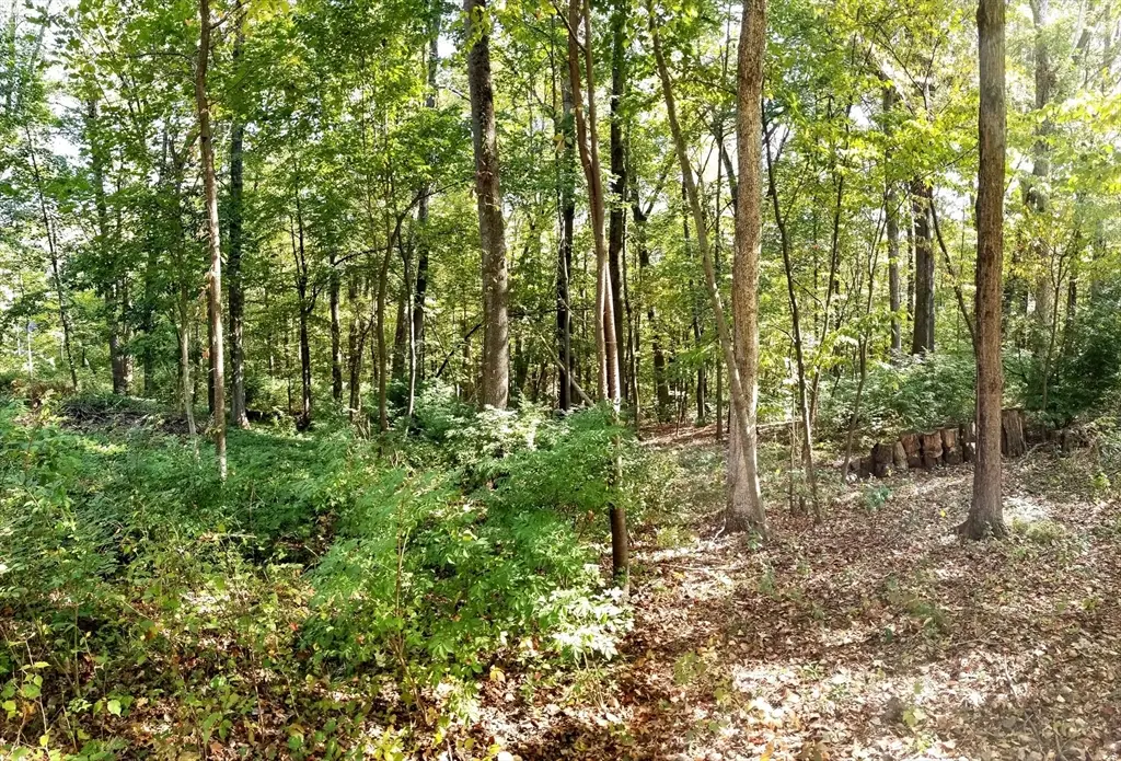 0 Red Gate, Amherst, MA 01002 - Image #1