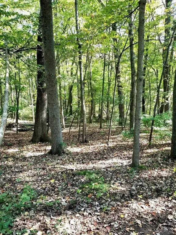 0 Red Gate, Amherst, MA 01002 - Image #2