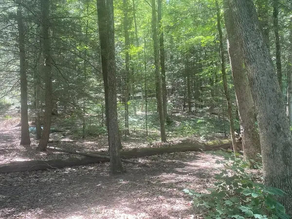 Lot 69 Federal St, Belchertown, MA 01007