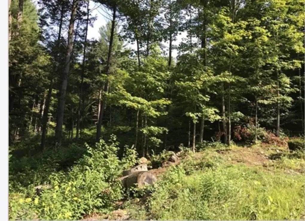 49 Old Chester Rd, Huntington, MA 01050 - Image #1