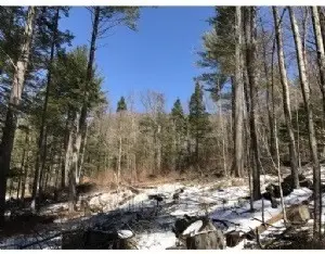 49 Old Chester Rd, Huntington, MA 01050 - Image #2