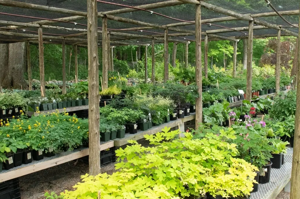 373 N Franklin St, Holbrook, MA 02343 - Image #1