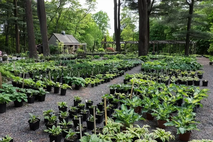 373 N Franklin St, Holbrook, MA 02343 - Image #2