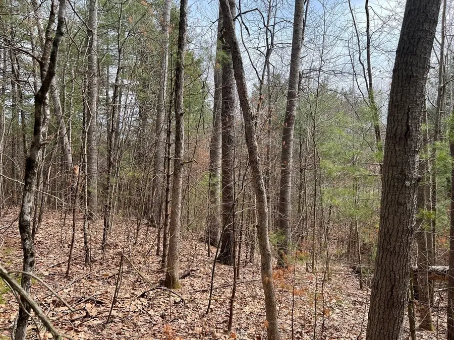 Lot 1 Monson Turnpike Road, Ware, MA 01082 - Image #2