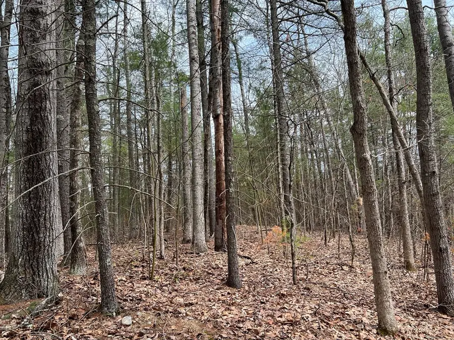 Lot 1 Monson Turnpike Road, Ware, MA 01082 - Image #3