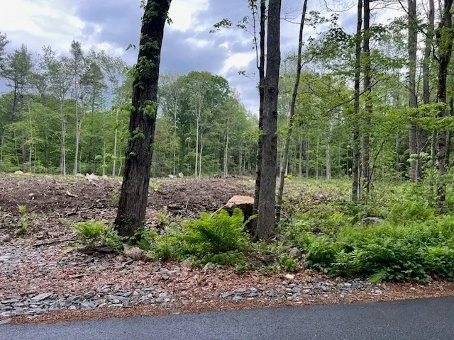 Lot 38 Edson, Oakham, MA 01068 - Image #2