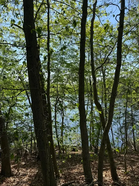 108 Dudley Rd, Wayland, MA 01778 - Image #2