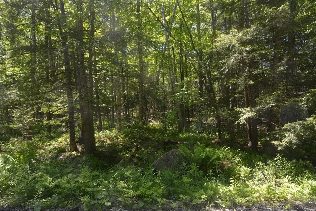 Lot 155 Chippewa Drive, Becket, MA 01223 - Image #1