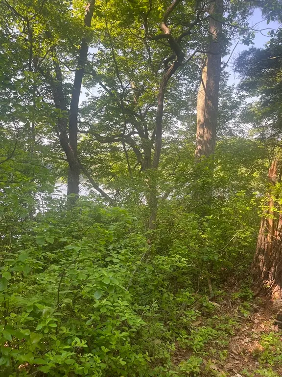 0 Morse St, Halifax, MA 02338 - Image #3