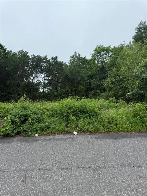 W S Arnold Ave, Springfield, MA 01119